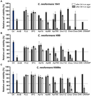 Evaluation of proline-rich antimicrobial peptides as potential lead structures for novel antimycotics against Cryptococcus neoformans